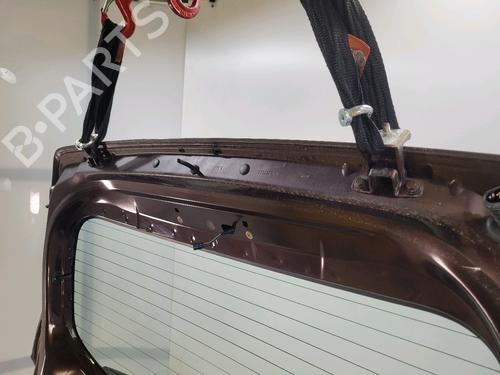 Tailgate DACIA SANDERO II TCe 90 (B8M1, B8MA, B8AC) | BP29624373C6 