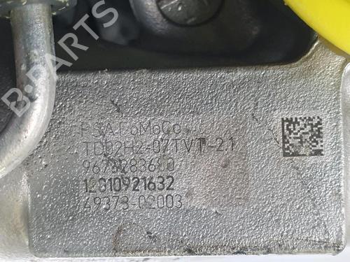 Engine CITROËN C3 II (SC_) 1.4 HDi 70 (SC8HZC, SC8HR0, SC8HP4) | BP36380037M1 - Image 6