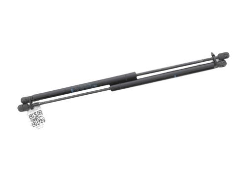 tailgate-lift-support-renault-grand-scenic-ii-jm01_-2004-2005-2006-2007-2008-2009-40248675 main image