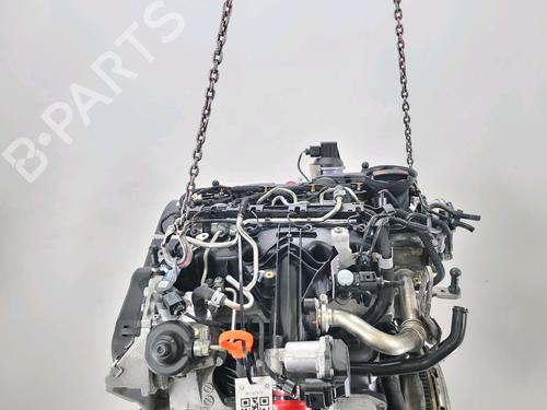 Engine SEAT IBIZA IV (6J5, 6P1) 2.0 TDI | BP40058108M1 - Image 5