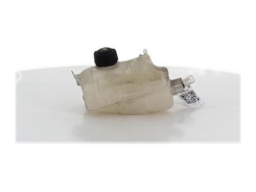 Vase D'Expansion RENAULT FLUENCE (L3_) 1.5 dCi (L30D, L30L, L306, L33F, L33L, L33M, L33V, L33W) (110 hp) 31876295