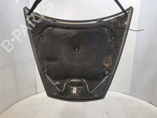 Hood RENAULT LAGUNA Coupe (DT0/1) 2.0 dCi (DT01, DT08, DT09, DT0K, DT12, DT1C, DT1D, DT1M,... | BP29819613C1