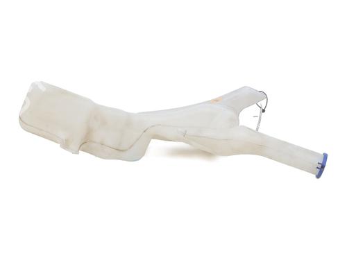 Windscreen washer tank FORD FIESTA VI (CB1, CCN) 1.25 | BP27857564C113