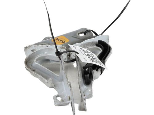Hinge/Door check strap RENAULT CLIO III (BR0/1, CR0/1) 1.5 dCi | BP27908560C146 