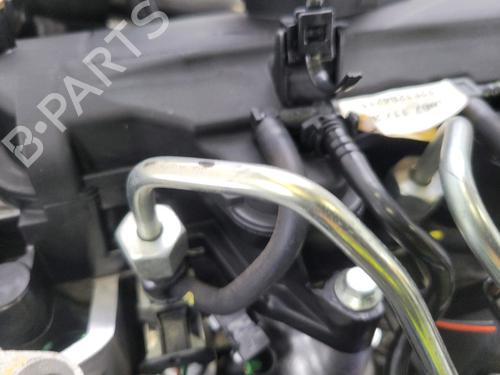 Motor RENAULT CLIO III (BR0/1, CR0/1) 1.5 dCi | BP29931251M1 