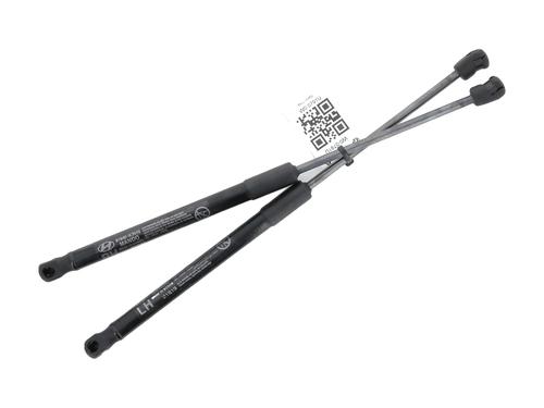 Used Tailgate lift support HYUNDAI i10 III (AC3, AI3) 1.0 MPi (67 hp) 30982422