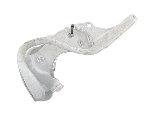 hingedoor-check-strap-fiat-500-312_-2007-32513009 main image