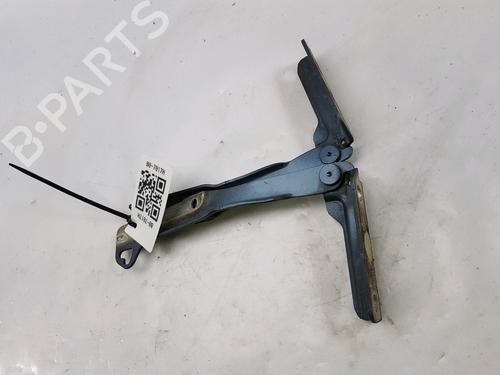 Hinge/Door check strap DACIA SANDERO 1.5 dCi | BP27919374C146 