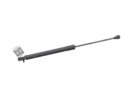 hood-lift-support-renault-clio-iv-bh_-2012-2013-2014-2015-2016-2017-2018-2019-2020-2021-34642718 main image