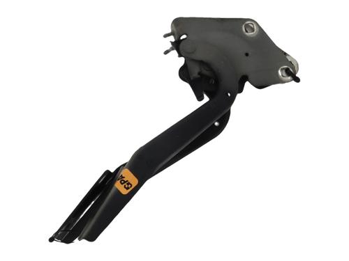 Used Hinge/Door check strap RENAULT MEGANE III Hatchback (BZ0/1_, B3_) 1.4 TCe (BZ0F, BZ1V) (131 hp) 27913034