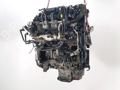 Engine FIAT SCUDO Van (270_, 272_) 1.6 D Multijet | BP29471079M1 