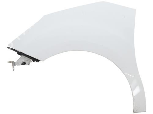 Used Left front fenders CITROËN C3 II (SC_) 1.4 HDi 70 (SC8HZC, SC8HR0, SC8HP4) (68 hp) 29696008