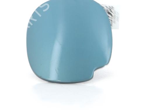 Used Fuel flap RENAULT CLIO II (BB_, CB_) 1.2 16V (BB05, BB0W, BB11, BB27, BB2T, BB2U, BB2V, CB05,... (75 hp) 30827782