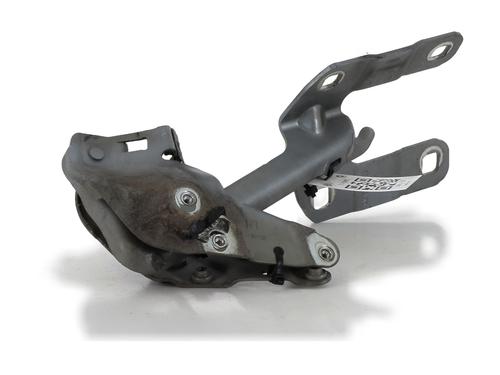 Hinge/Door check strap OPEL MERIVA B MPV (S10) 1.3 CDTI (75) | BP27913830C146 