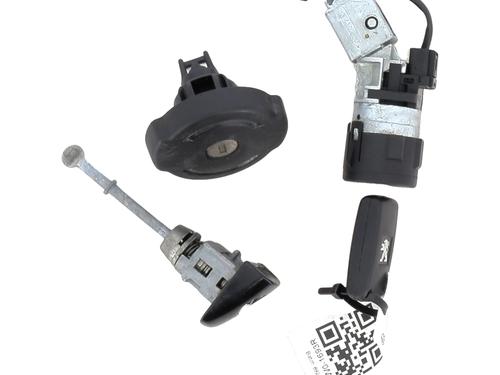 Used Ignition barrel PEUGEOT 3008 I MPV (0U_) 1.6 HDi (114 hp) 27313866