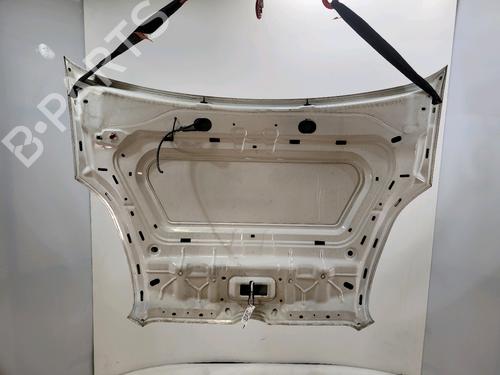 Hood FIAT DOBLO Cargo (263_)  | BP29110853C1 