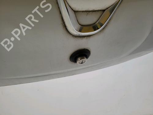 Tailgate DACIA SANDERO 1.4 (BS0C, BS0A, BS0G, BS1F, BS0E) | BP31845539C6