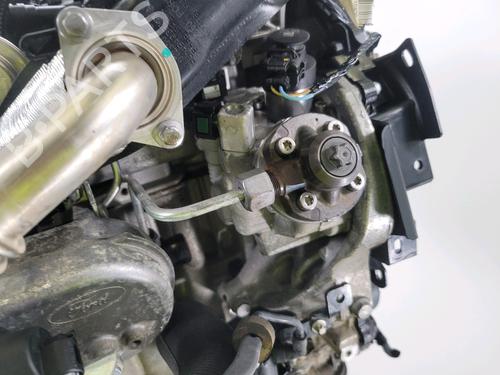 Motor FORD FIESTA VI (CB1, CCN) 1.5 TDCi | BP28594731M1