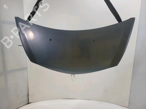 hood-renault-clio-iii-br01-cr01-2005-2006-2007-2008-2009-2010-2011-2012-2013-2014-40520864 main image