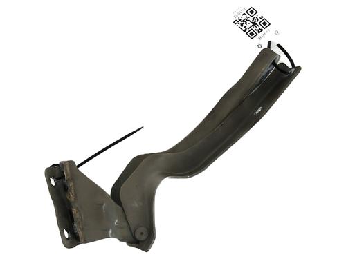 Used Hinge/Door check strap NISSAN QASHQAI / QASHQAI +2 I (J10, NJ10, JJ10E) 1.5 dCi (106 hp) 27905970