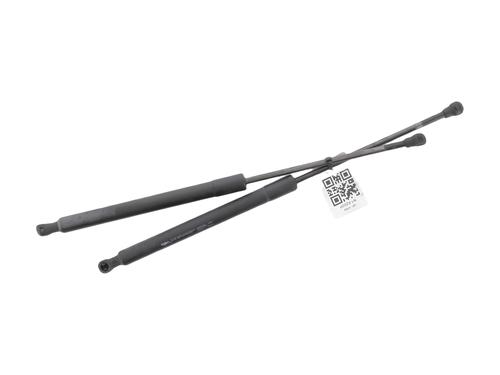 tailgate-lift-support-citroen-c3-ii-sc_-2009-31661696 main image