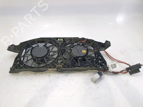 Used Radiator fan MERCEDES-BENZ VITO / MIXTO Van (W639) 109 CDI (639.601, 639.603, 639.605) (95 hp) 29197659