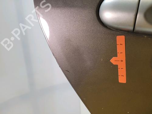 Right rear door RENAULT SCÉNIC III (JZ0/1_) 1.5 dCi | BP29416821C5 