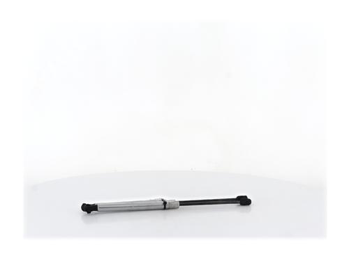 Tailgate lift support AUDI A8 D3 (4E2, 4E8) 3.0 TDI quattro | BP38552830C138 - Image 2