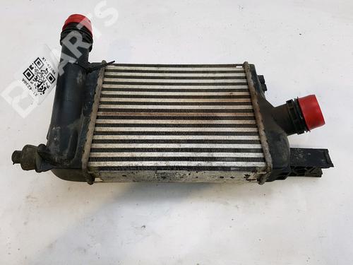 Used Intercooler Intercooler DACIA SANDERO II TCe 90 (B8M1, B8MA, B8AC) (90 hp) 10732088 10732088