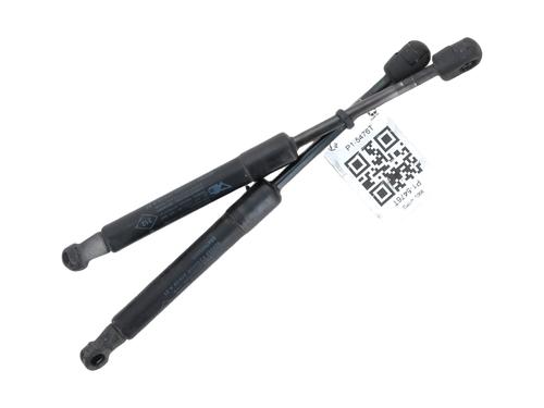 Used Hood lift support RENAULT SCÉNIC III (JZ0/1_) 1.5 dCi (106 hp) 29047708