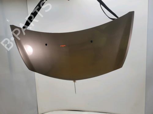 hood-renault-clio-iii-grandtour-kr01_-2007-30558433 main image