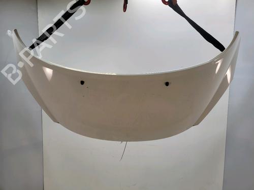 Used Hood PEUGEOT 207 (WA_, WC_) 1.6 HDi (90 hp) 31085871