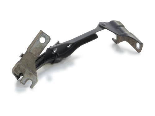 Hinge/Door check strap VW POLO V (6R1, 6C1) 1.2 | BP27914139C146 