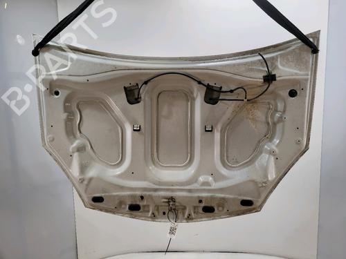 Hood DACIA SANDERO 1.4 MPI LPG | BP29416675C1 