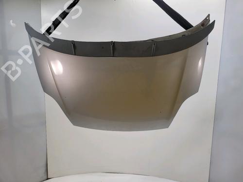 Capot Capot FIAT GRANDE PUNTO (199_) 1.3 D Multijet (75 hp) 36853760 36853760