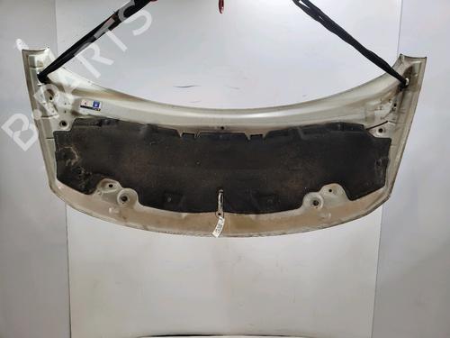 Hood PEUGEOT 3008 I MPV (0U_) 1.6 HDi | BP22950153C1