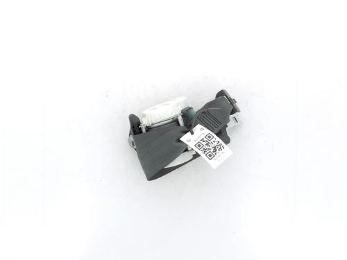 Used Rear left belt tensioner RENAULT CLIO III (BR0/1, CR0/1) 1.5 dCi (C/BR0G, C/BR1G) (68 hp) 17795701