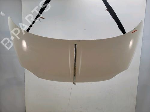 hood-fiat-500-312_-2007-32512931 main image