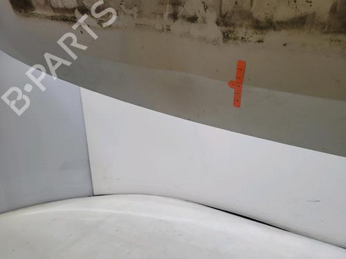 Tailgate RENAULT MODUS / GRAND MODUS (F/JP0_) 1.4 (JP01, JP0J) | BP30118991C6 