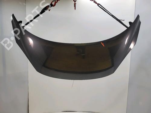 Used Hood RENAULT SCÉNIC III (JZ0/1_) 1.5 dCi (JZ02, JZ0R) (95 hp) 26199011