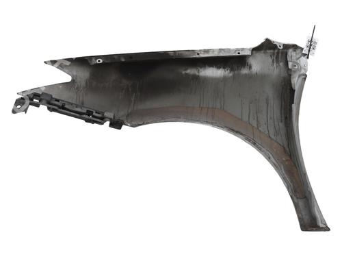 Right front fenders RENAULT LAGUNA III (BT0/1) 2.0 dCi (BT07, BT0J, BT14, BT1A, BT1S) | BP29232211C42 