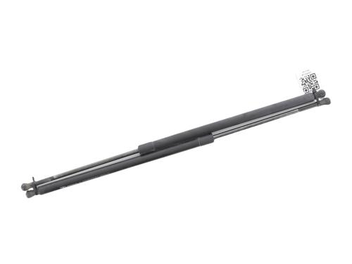 tailgate-lift-support-renault-scenic-iii-jz01_-2008-2009-2010-2011-2012-2013-2014-2015-2016-37228395 main image