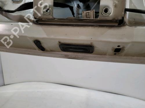 Tailgate RENAULT CLIO III (BR0/1, CR0/1) 1.5 dCi (BR17, CR17) | BP29552915C6 