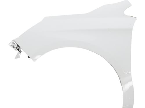 left-front-fenders-citroen-c4-ii-nc_-2009-38717219 main image