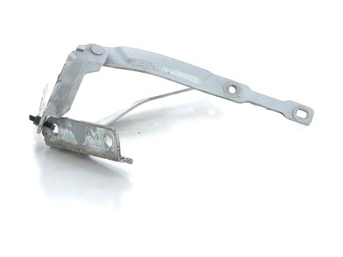 Hinge/Door check strap DACIA SANDERO II 1.5 dCi | BP31086035C146