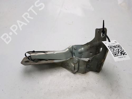 Used Hinge/Door check strap RENAULT MEGANE II (BM0/1_, CM0/1_) 1.9 dCi (BM0G, CM0G) (120 hp) 27919456