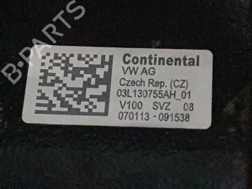 Engine VW POLO V (6R1, 6C1) 1.6 TDI | BP29111357M1 