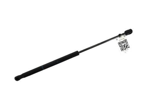 Used Tailgate lift support CITROËN C2 (JM_) 1.4 (73 hp) 27904899