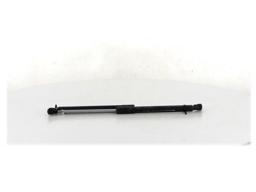 Tailgate lift support RENAULT CLIO III (BR0/1, CR0/1)  | BP27909449C138 