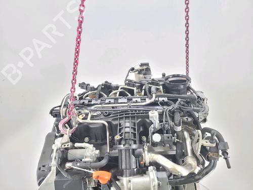 Engine SEAT IBIZA IV (6J5, 6P1) 1.6 TDI | BP29849013M1